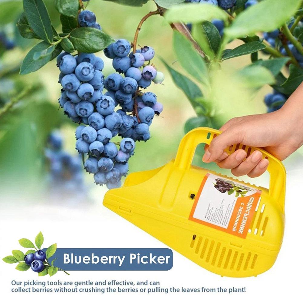 Gardening Tools Must Haves - Łatwy w użyciu chwytak do jagód