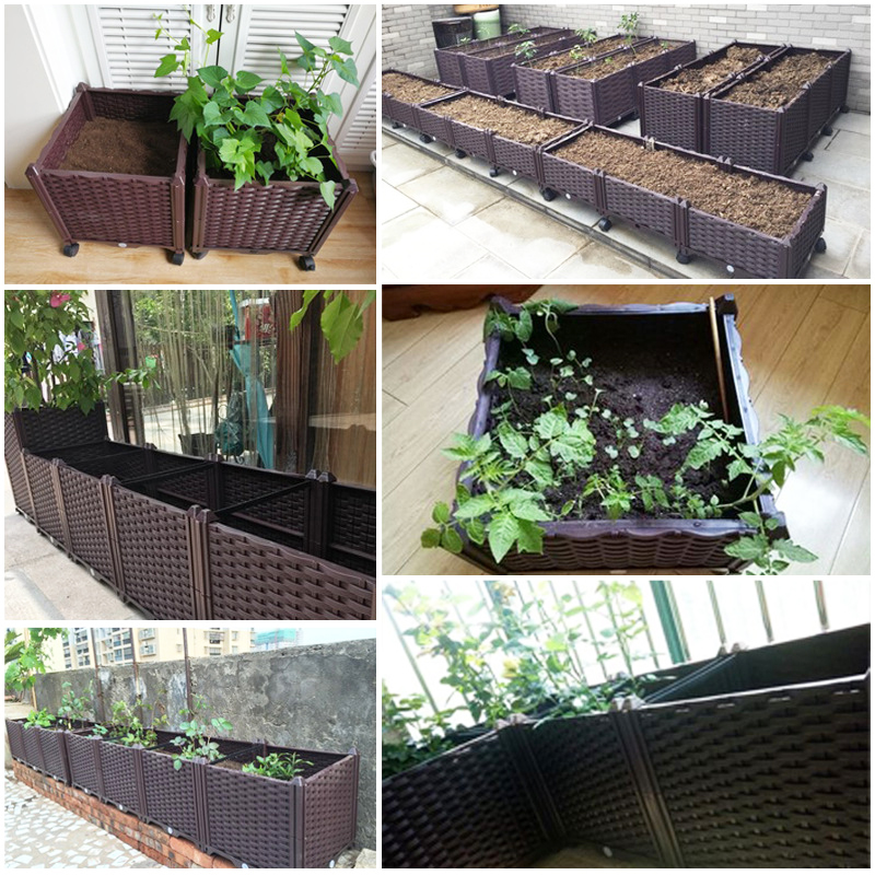 Podwyższona lejek do ogrodu z  – Self-Watering Planter recenzja i cena