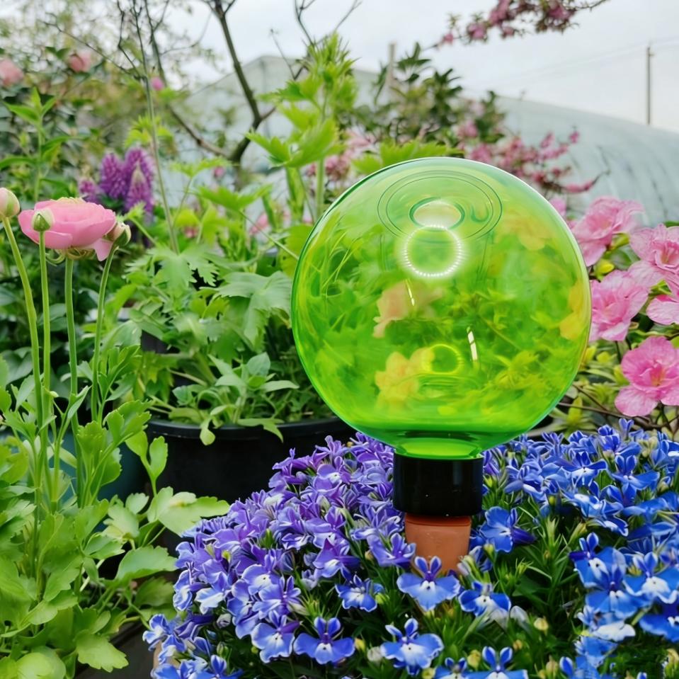 3 szt. Duże plastikowe kule do – Self-Watering Planter recenzja i cena